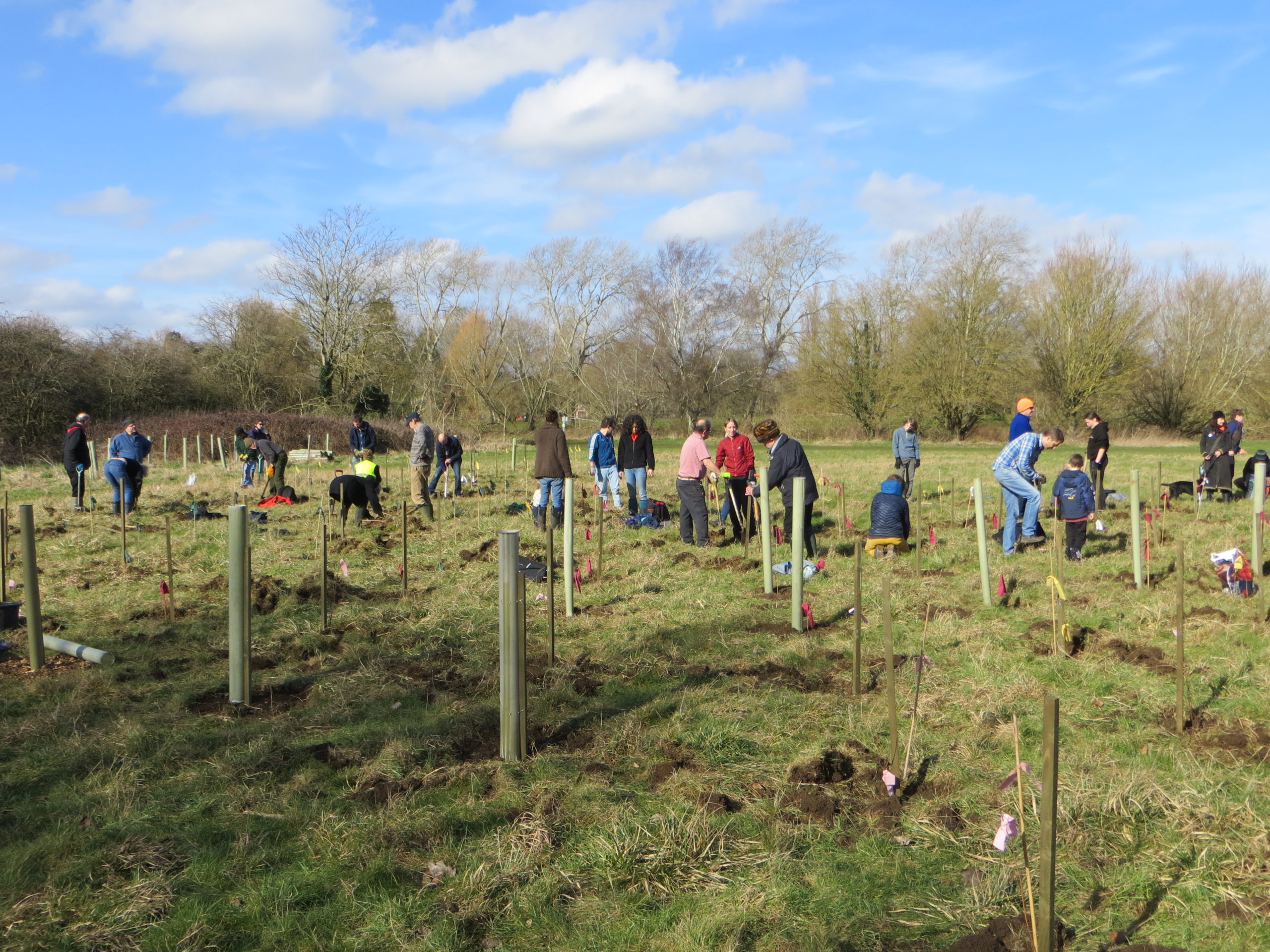 Tree planting and grants for community climate projects highlighted in ...