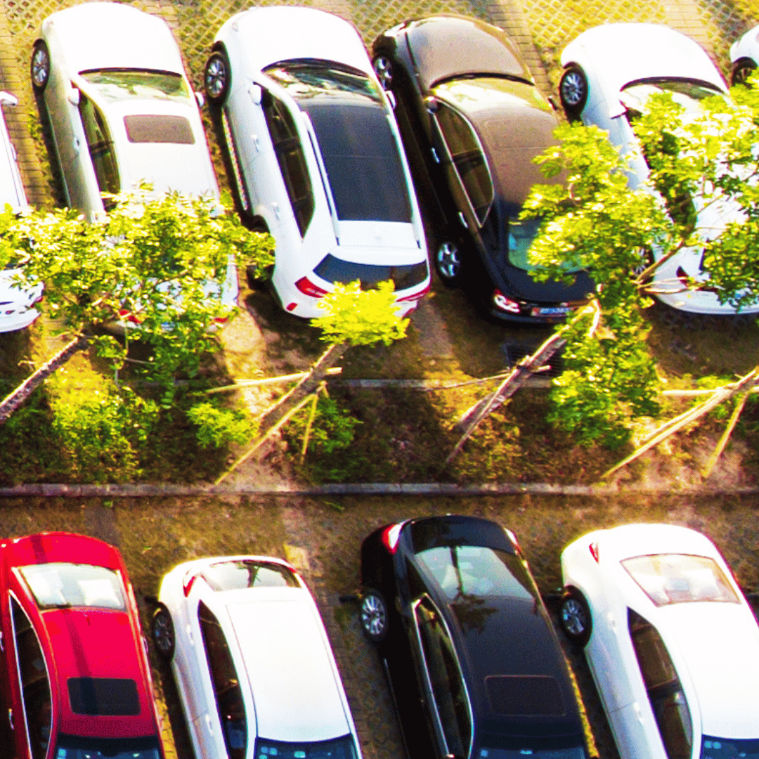 Car park with rows of parked cars alongside green areas and trees